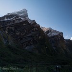 AlanStock-1050973