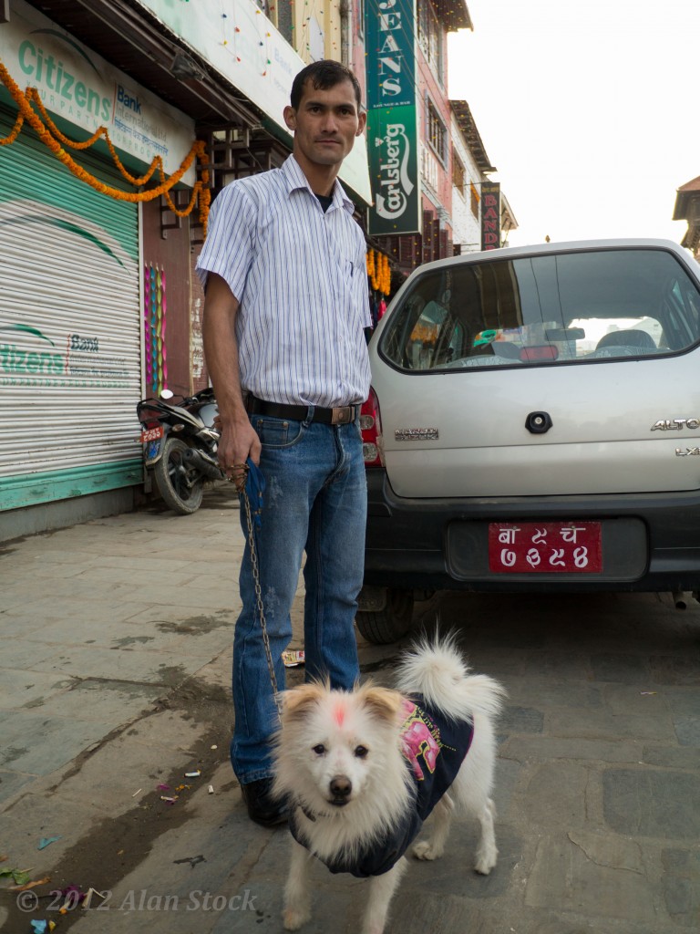 Some dogs get walked just like home. They are always posh breeds. I was told they often escape and breed with the street dogs to make the funny hybrids you see around!